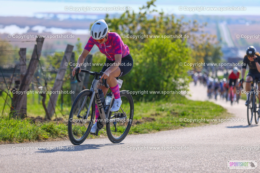 TRA_0242 | Neusiedlersee Radmarathon 2026@sportshot_your_pictrs #yourpictures#roadtowm2029 #nrm #neusiedlerseeradmarathon #neusiedlersee #neusiedlerseetourismus #burgenland #mörbisch #nrm26 #burgenlandtourismus #voglundco #poweredbyburgenlandtourismus #radsport #rad #marathon #ucigranfondo #visitburgenland #ucigranfondoworldseries