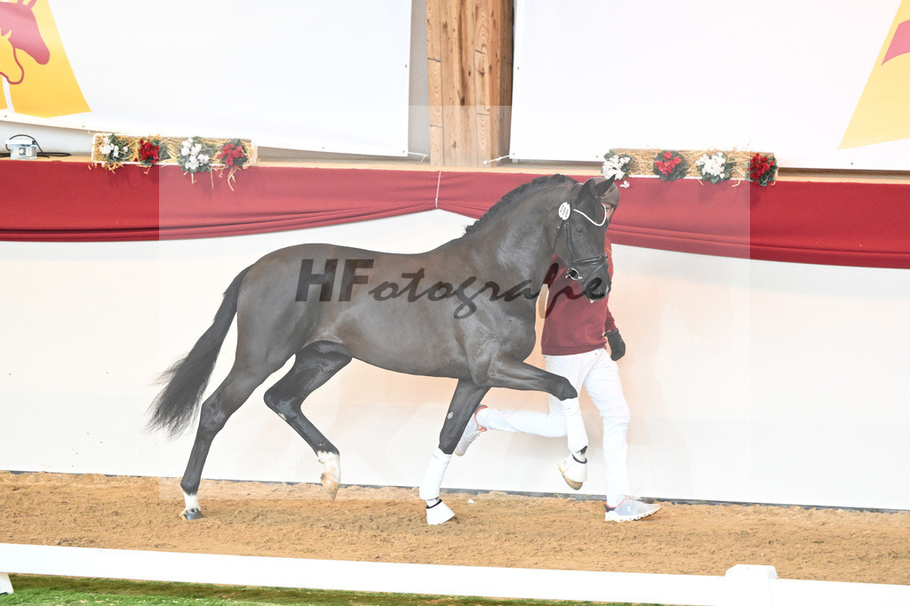 Kat-Nr. 68 Secret_Reich_1230600 | hf-fotografie - Realisiert mit Pictrs.com