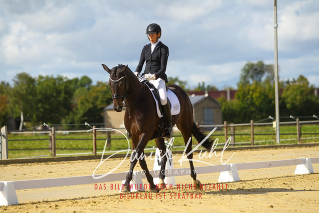 DKP44091 | Turniersportfotografie; Pferdefotografie; Dressurfotografie