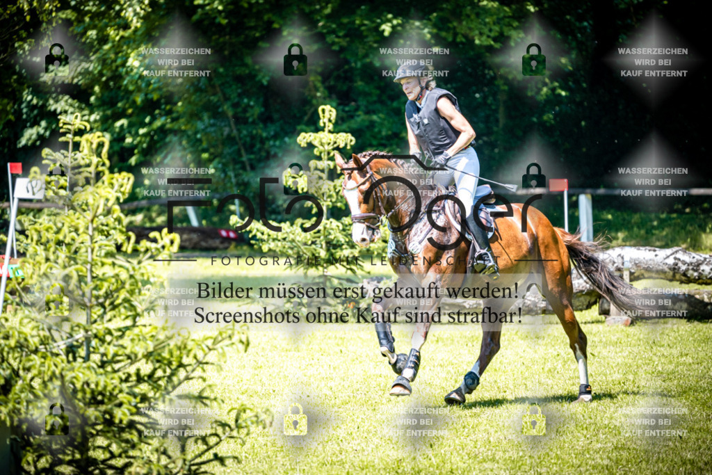 2026-05 - Melle Oldendorf-1-0011 | Entdecke hochwertige Reitturnierfotos von Foto Oger. Professionell, emotional und authentisch – jetzt Lieblingsmomente im Shop bestellen.Deutschlandweite Turnierfotografie. - Realisiert mit Pictrs.com