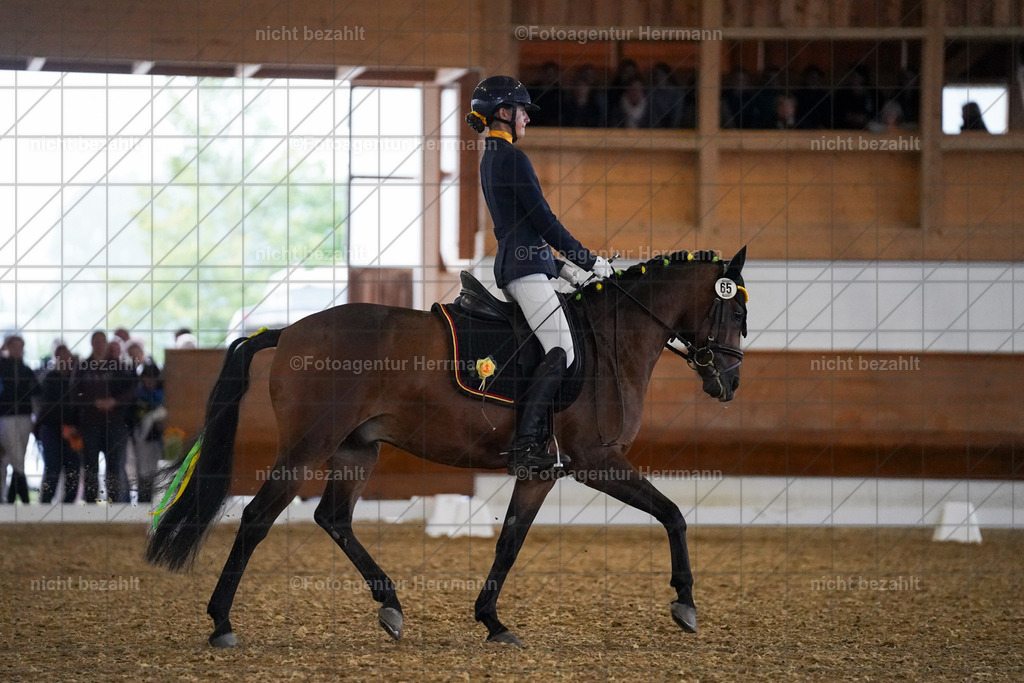 20240825-FAH08939 | Turnierbilder, Reitsportfotos, LAPO, Landesponyturnier, Turnierfotografen Bayern