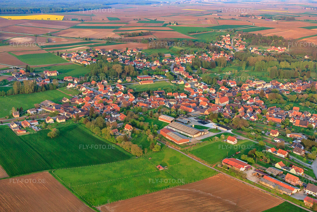 Luftbild: Ortsansicht von Westen in Riedseltz im Bundesland Bas-Rhin in Frankreich. – Foto: IMG_56874.jpg vom 05.05.2013 durch Werner Riehm/FLY-FOTO.de – Auflösung des Originals: 4752 x 3168 px