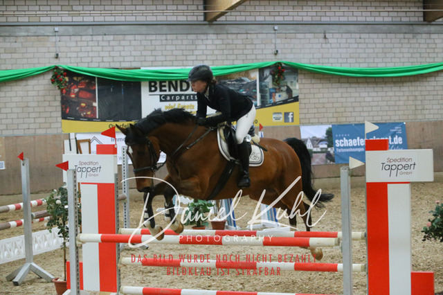 IMG_0682 | Turnierfotos kaufen im Webshop von Daniel Kuhl Photography – entdecke professionelle Reitsportfotos aus Turnieren & Events. Hochwertige Turnierbilder online bestellen & sichern. Jetzt Fotos von Reitsportturnieren kaufen!