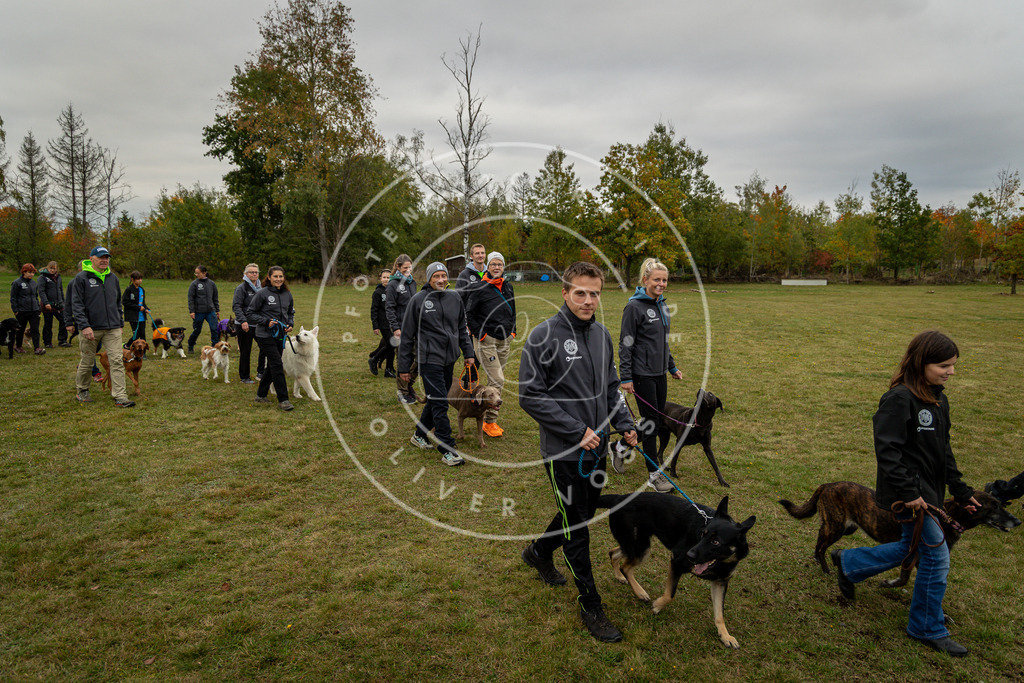 Pfotenfotografie_0L8A0213 | Hundefotografie, Tierfotograf, Pfotenfotografie, Fotoshooting Hund, Hunde Portrait, Hundesport, Hundeportraits, Heideshooting, Hunde, Sportfotograf, Hundefotograf, Turnierhundsport, THS,  - Realisiert mit Pictrs.com