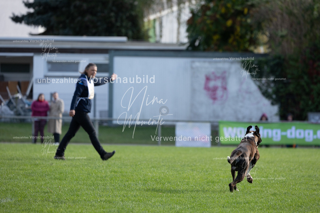_16A6478 | Einzigartige Fotos von Hunden & Menschen –Actionfotos, Portraits, Vereinsaufnahmen & Paarshootings – authentisch, lebendig & mit Herz.