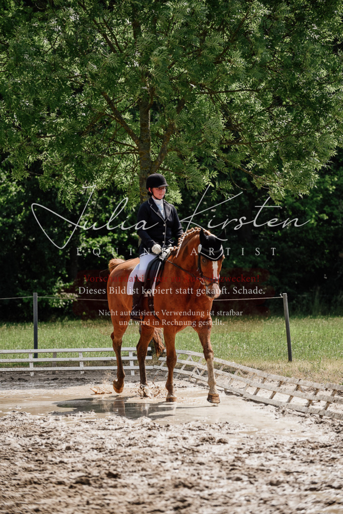 DSC_0655 | Pferde- und Turnierfotografie in Westsachsen. Pferdeportraits, Auftragszeichnungen und intuitive Kunst.