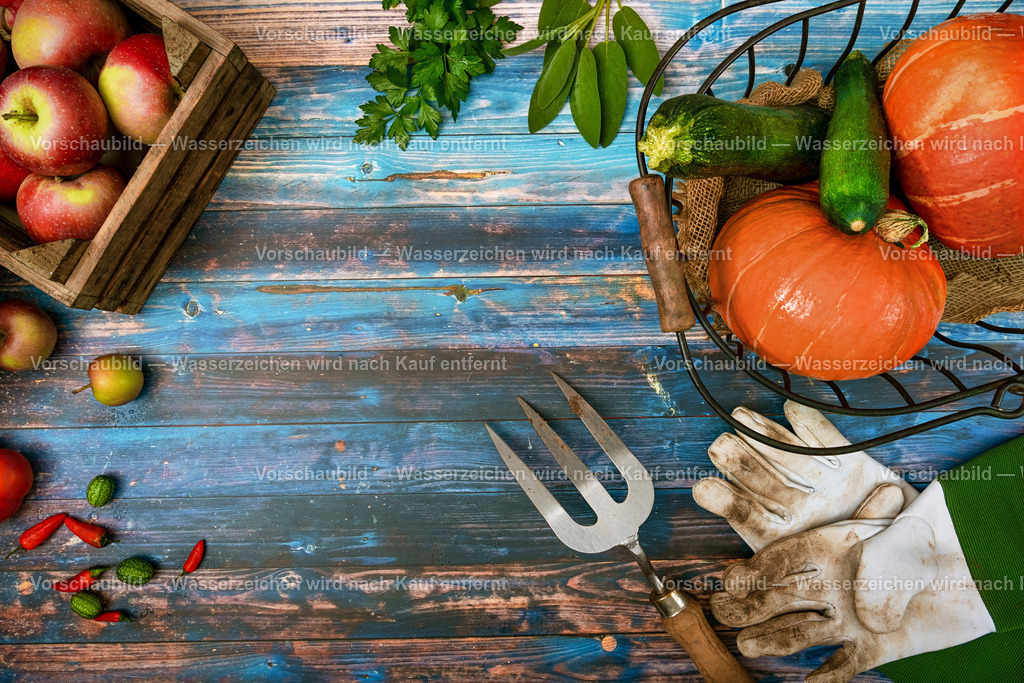 frisch geerntetes Obst und Gemüse  | frisch geerntetes Obst und Gemüse aus dem Garten im Korb und Holzkiste mit Gartenwerkzeugen. - Realisiert mit Pictrs.com