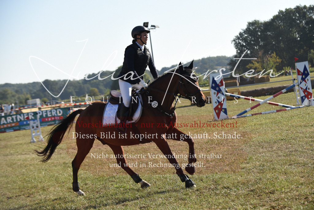 DSC_5511 | Pferde- und Turnierfotografie in Westsachsen. Pferdeportraits, Auftragszeichnungen und intuitive Kunst.