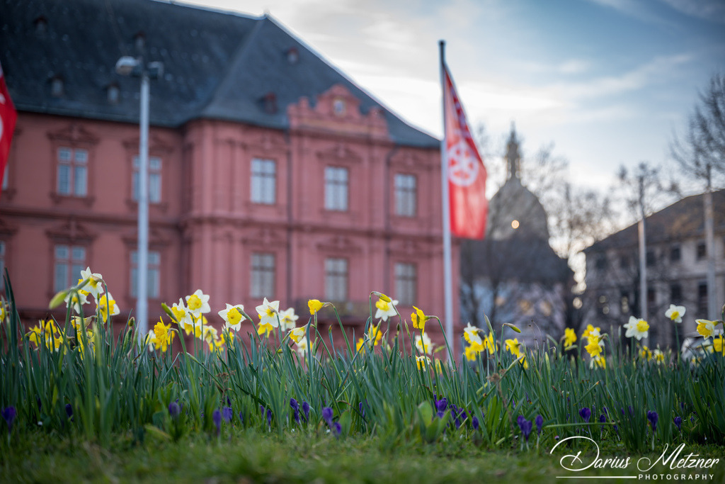 Das Mainzer Schloss | Das Mainzer Schloss