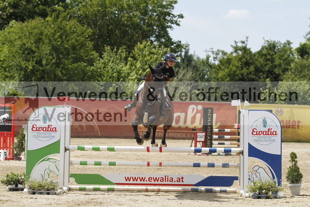 _MG_5622 | equestrian-live-com