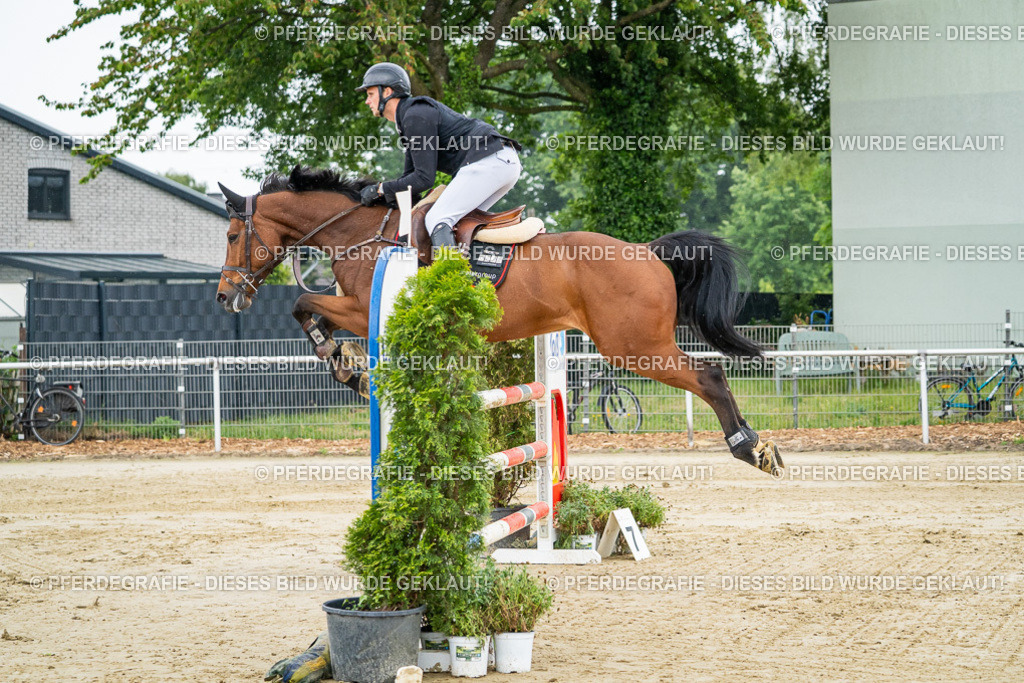 DSC01459 | Pferdegrafie