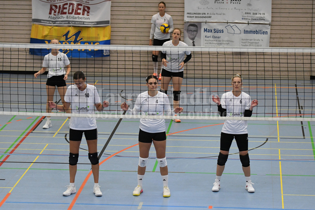 TSV Deggendorf Damen : Wilde Wespen Steinach | TSV Deggendorf Damen : Wilde Wespen Steinach - Realisiert mit Pictrs.com