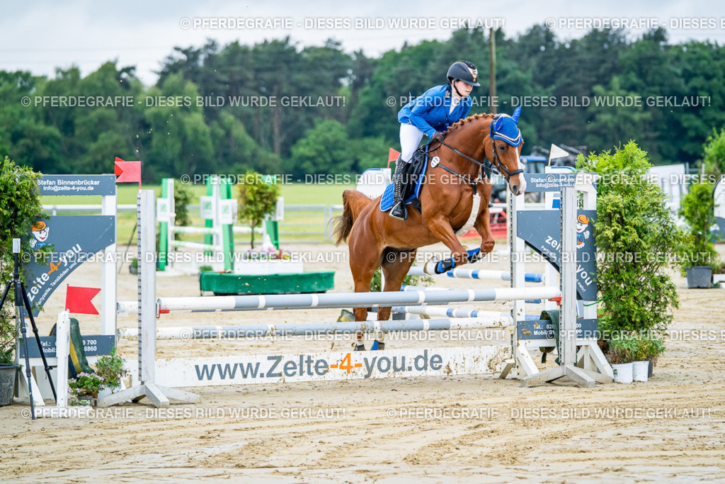 DSC01055 | Pferdegrafie