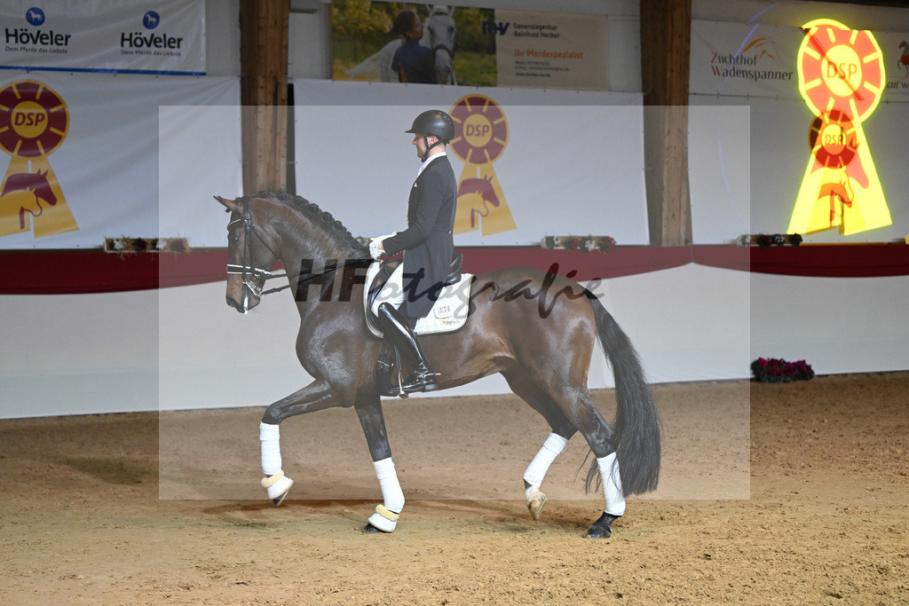 Knock Out_1234887 | hf-fotografie - Realisiert mit Pictrs.com