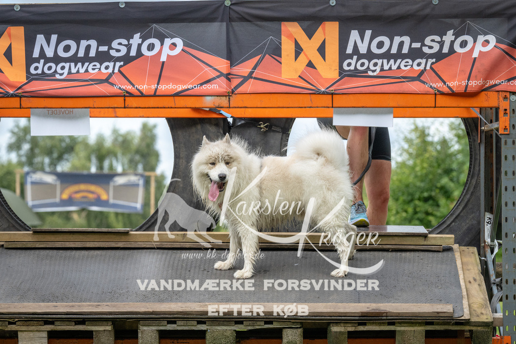 1354_ZZ90645 | kk-dogfotos