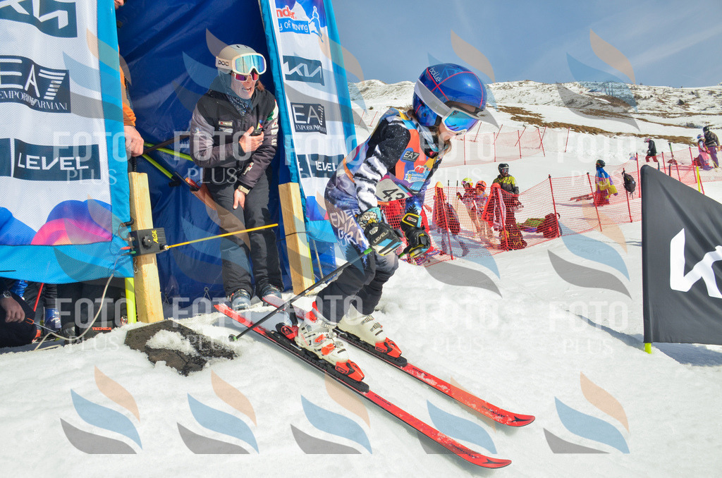 _ELE5078 | holidayphoto