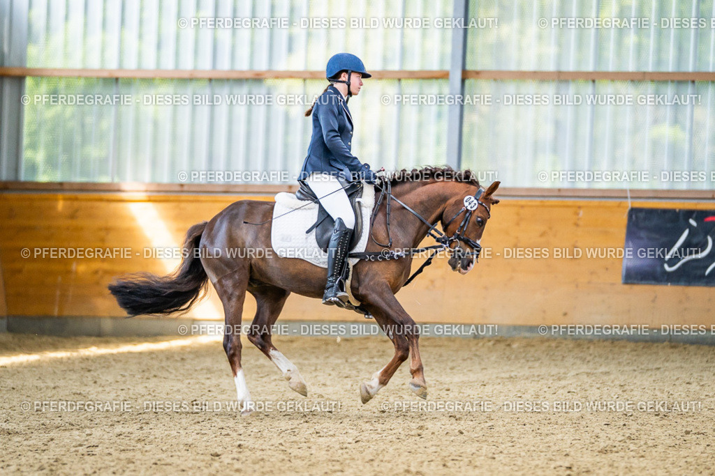 DSC03727 | Pferdegrafie