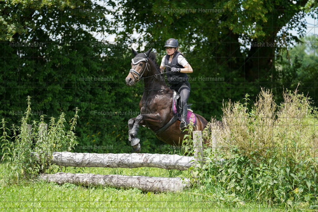 20240622-FAH07479 | Turnierfotografen Bayern, Reitsportbilder aus dem Geländekurs mit Felix Etzel auf dem Gut Waitzacker 2024