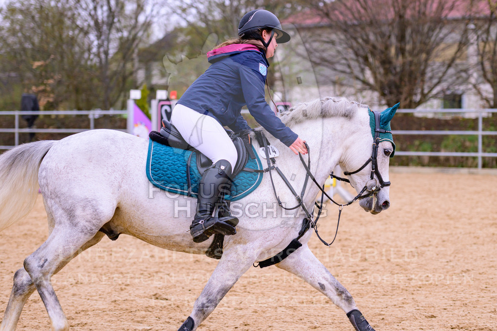 12042026-Mammendorf-Prfg40-1638 | Fokus Hufschlag Fotografie - Realisiert mit Pictrs.com