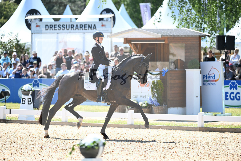 Netz_Dieudonne_11253536 | hf-fotografie - Realisiert mit Pictrs.com