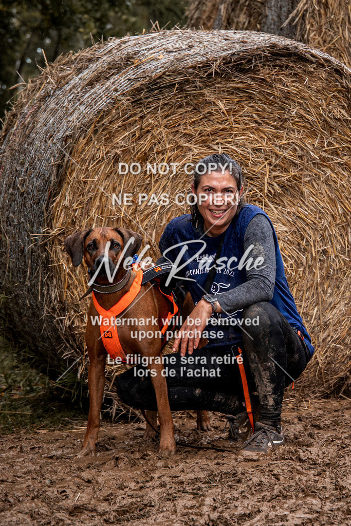nelerasche_Hunsrück_So09-11_145 | nelerasche
