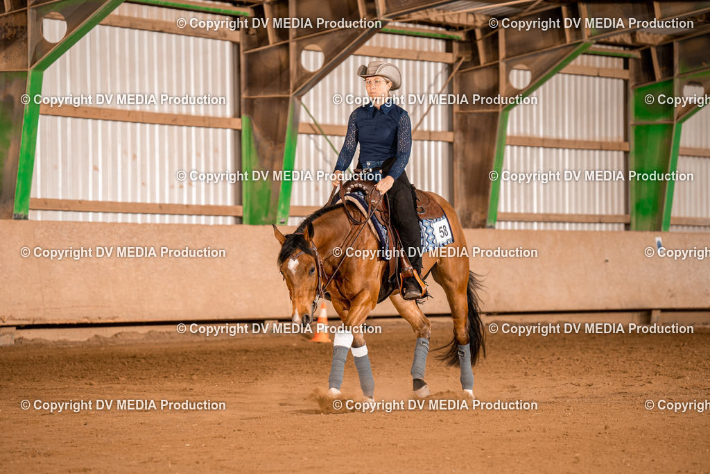 BA400509 | dv-media-shop - Realisiert mit Pictrs.com