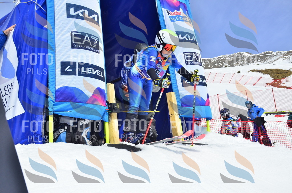 _ELE1703 | holidayphoto