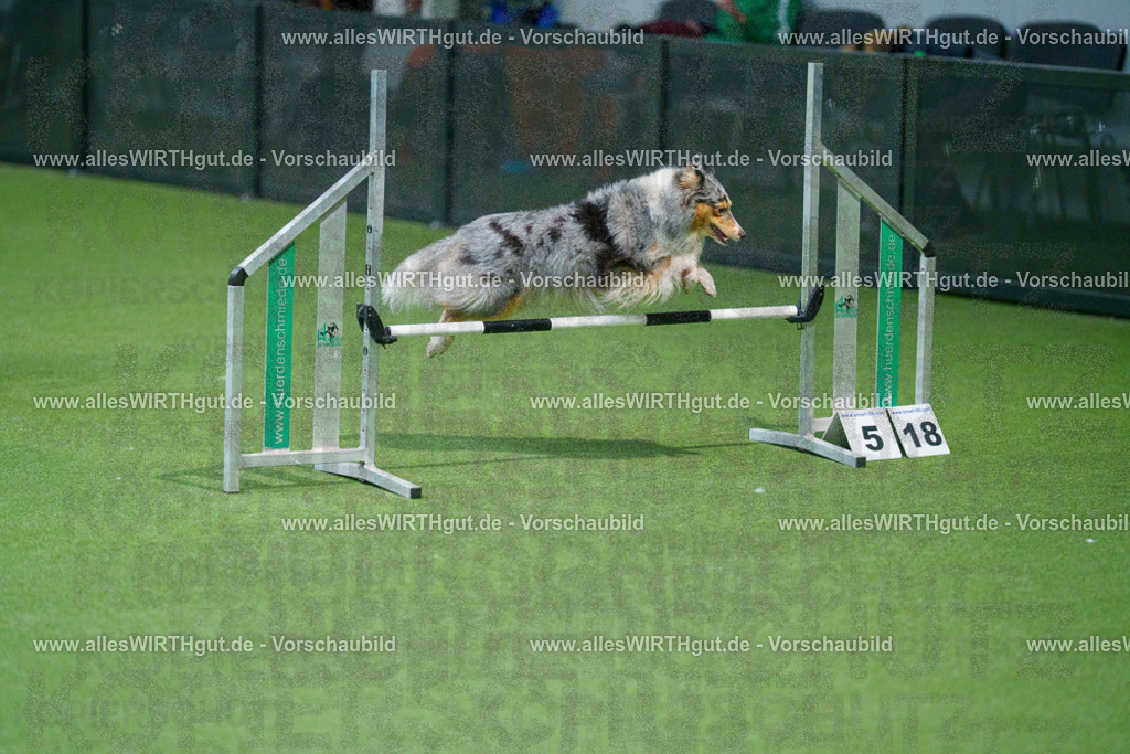 @allesWIRTHgut_Tierfotografie - www.allesWIRTHgut.de - 2604250844-7R507621 | Professionelle Tierfotografie in Mönchengladbach von Daniel Wirth (allesWIRTHgut). Liebevolle & natürliche Bilder von Hunden & Katzen für unvergessliche Erinnerungen.
