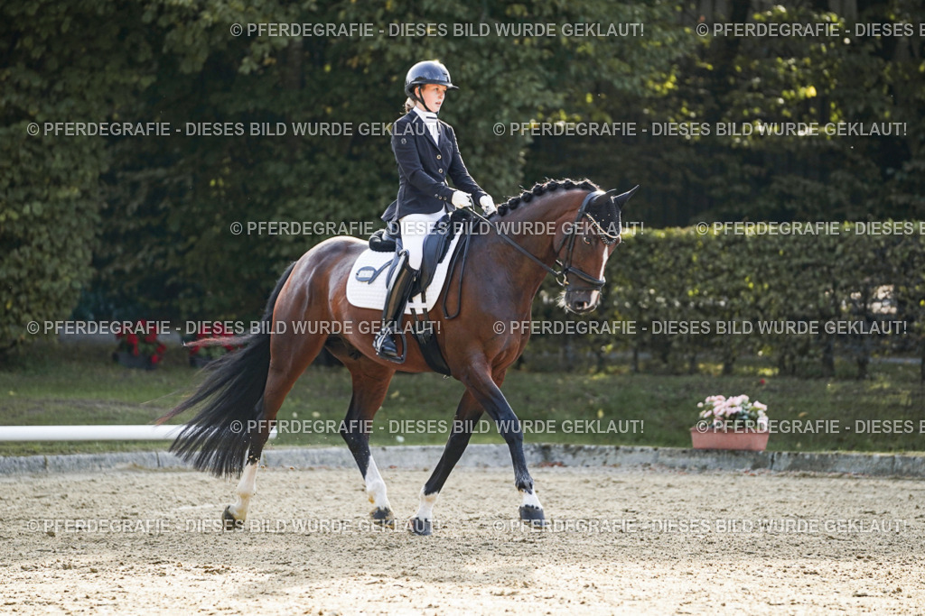 DSC05037 | Pferdegrafie