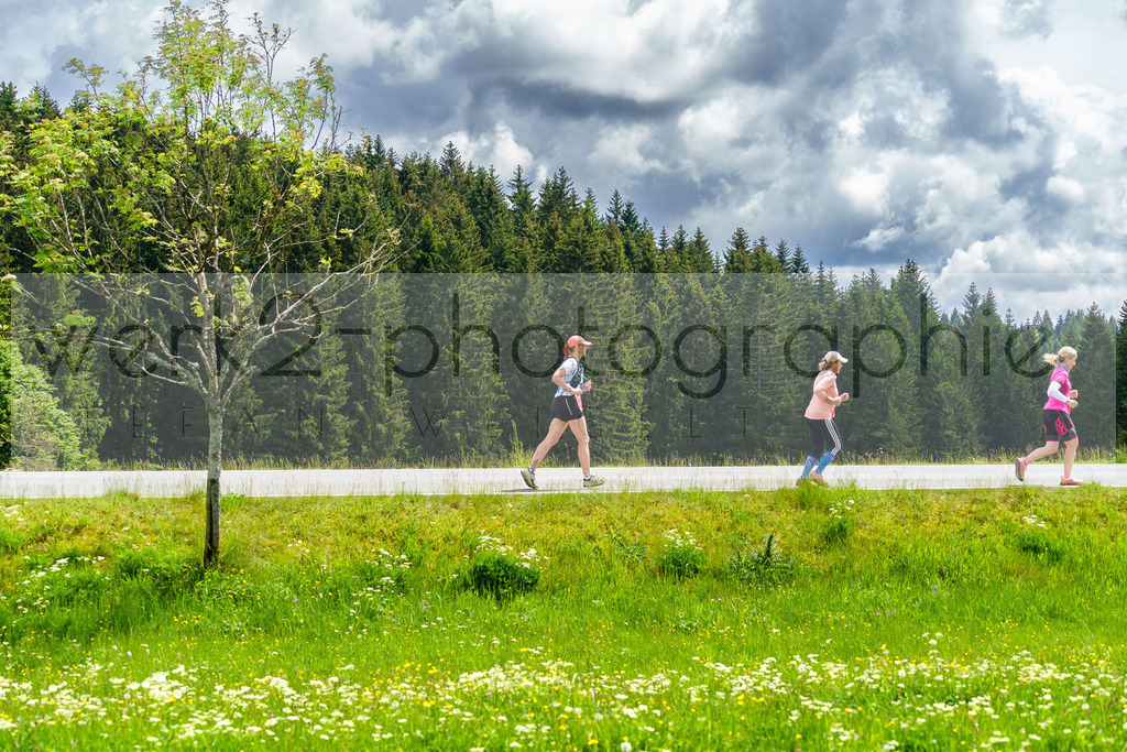 Rennsteiglauf Marathon 2024 | 25. Mai 2024 - 42,2 km von Neuhaus nach Schmiedefeld