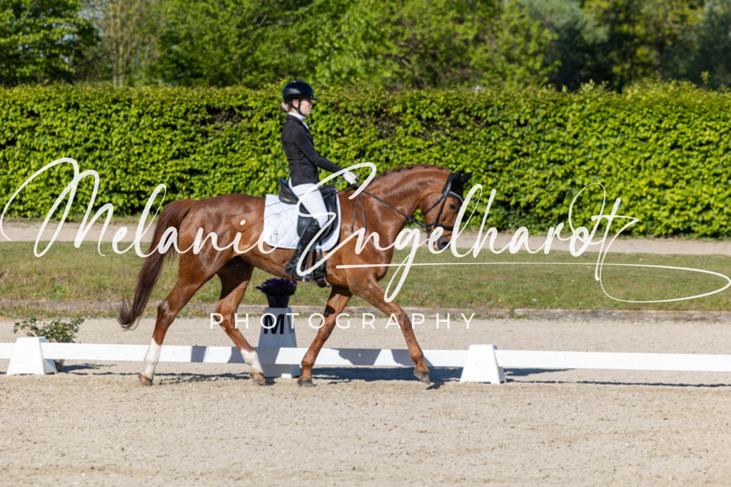 7I8A8780 | melanie-engelhardt-photography - Realisiert mit Pictrs.com