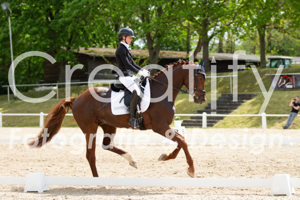 IMG_2553 | Creatify Fotografie