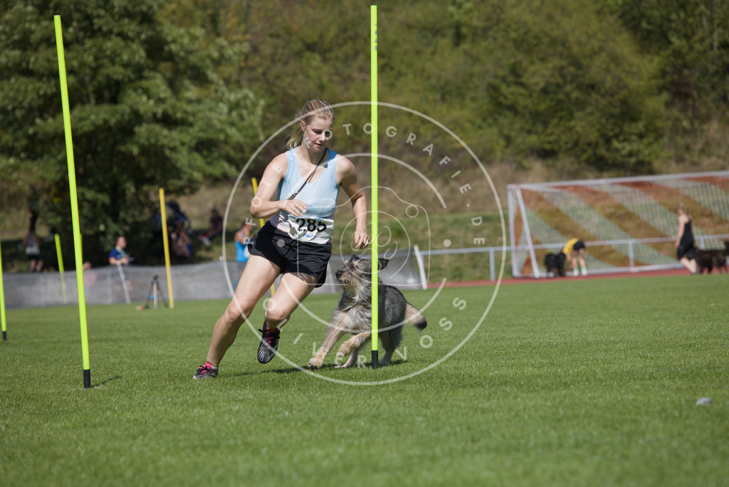 0L8A6906 | Hundefotografie, Tierfotograf, Pfotenfotografie, Fotoshooting Hund, Hunde Portrait, Hundesport, Hundeportraits, Heideshooting, Hunde, Sportfotograf, Hundefotograf, Turnierhundsport, THS,  - Realisiert mit Pictrs.com