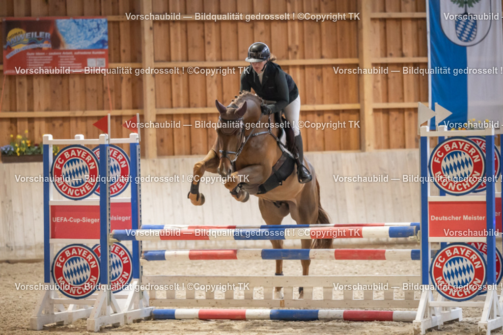 _D5A7378 | Emotionale Pferde- & People-Fotografie rund um Heidelberg, Leimen & Umgebung. Natürliche Fotos von Pferd, Mensch & Familie. Jetzt Termin sichern!