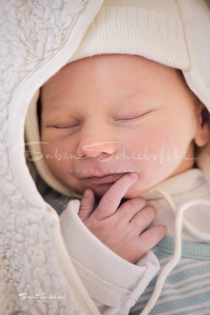 Newborn | People- und Tierfotografie, Imageaufnahmen, Veranstaltungsfotografie und Wandbilder aus der Natur ★ Made in Germany ✔️ Druck + Downloads ✔️ Naturfotografie in Top Qualität ★ schneller Versand, weltweite Lieferung! - Realisiert mit Pictrs.com