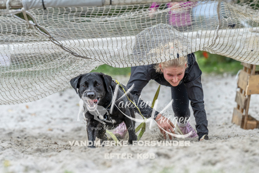 1024_ZZ93919 | kk-dogfotos