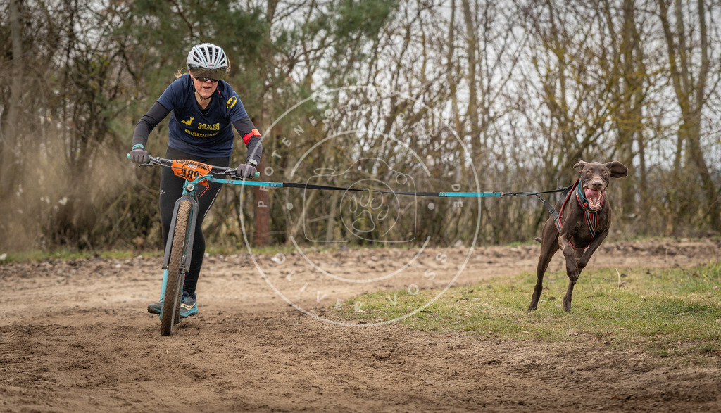 Pfotenfotografie_DV3A9674 | Hundefotografie, Tierfotograf, Pfotenfotografie, Fotoshooting Hund, Hunde Portrait, Hundesport, Hundeportraits, Heideshooting, Hunde, Sportfotograf, Hundefotograf, Turnierhundsport, THS,  - Realisiert mit Pictrs.com
