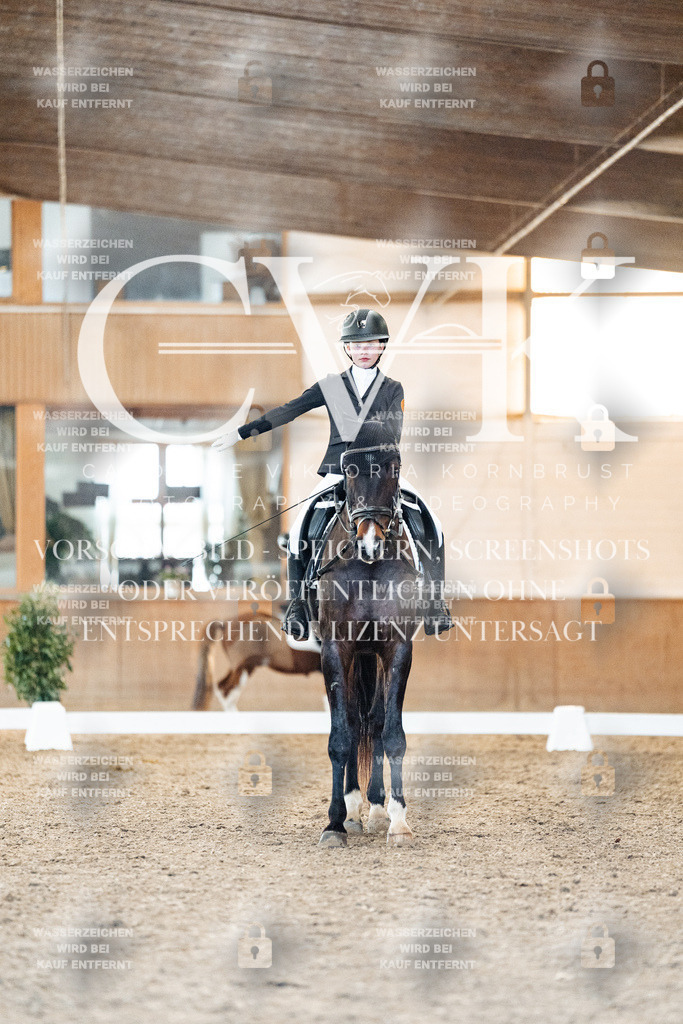 CK907126 | Turnierfotografie Pferdefotografie Trier Rheinland-Pfalz Pferdesport Reitsport Tierfotografie Sportfotografie Pferdevideo Pferdevideografie Equestrianvideography equestrianphotography  - Realisiert mit Pictrs.com