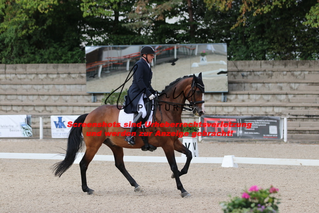 IMG_5979 | lmwpictures - Realisiert mit Pictrs.com