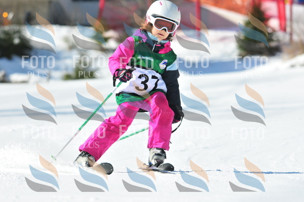 C2701 | holidayphoto