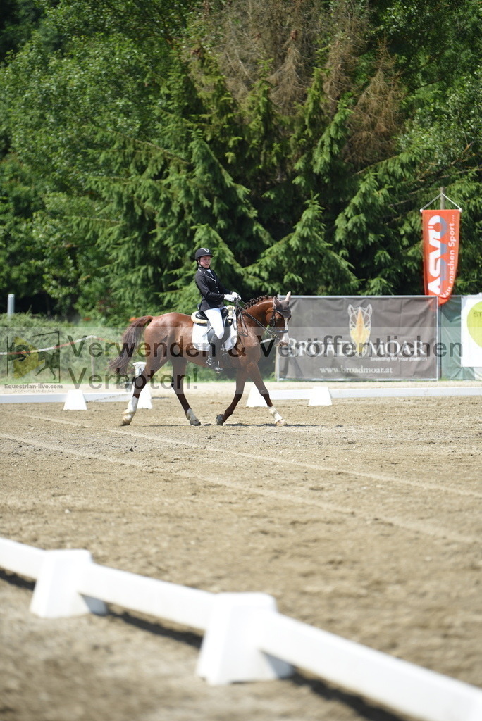 DSC_8812 | equestrian-live-com