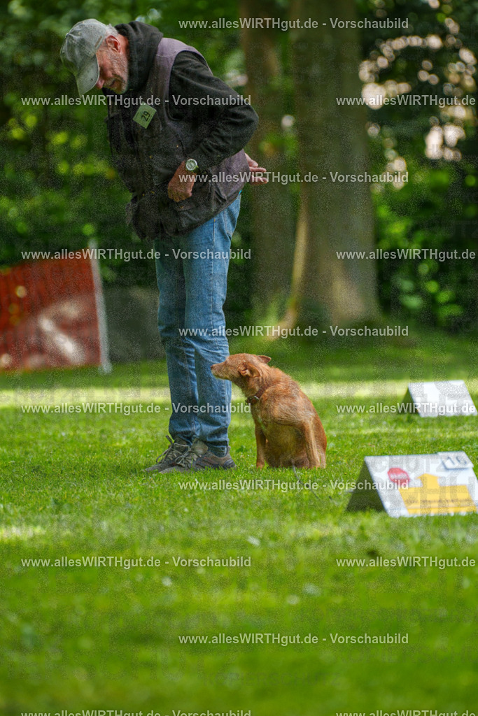 @allesWIRTHgut_Tierfotografie - www.allesWIRTHgut.de - 7R504198 | Professionelle Tierfotografie in Mönchengladbach von Daniel Wirth (allesWIRTHgut). Liebevolle & natürliche Bilder von Hunden & Katzen für unvergessliche Erinnerungen.