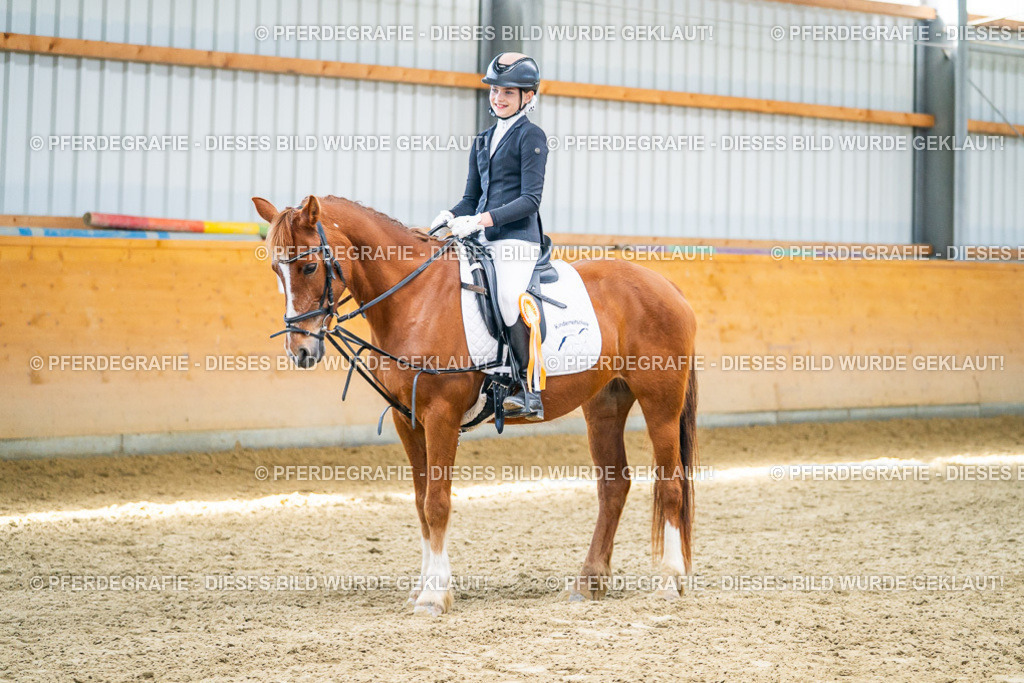 DSC03078 | Pferdegrafie