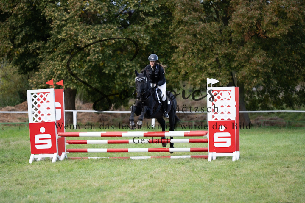 A7V06473 | Pferdefotograf