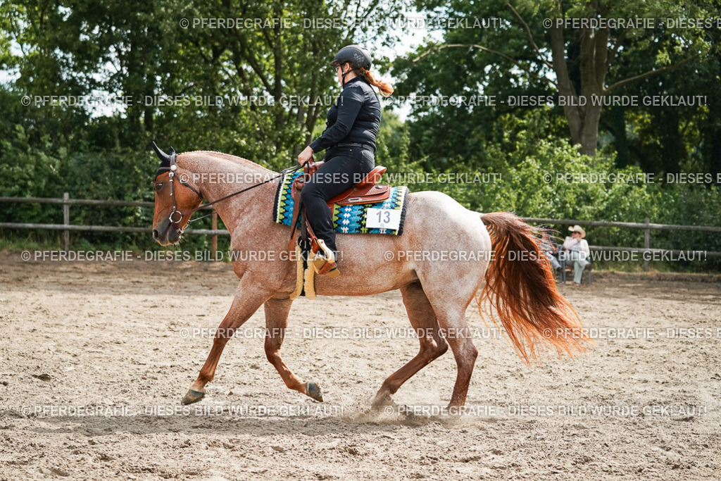 DSC04331 | Pferdegrafie