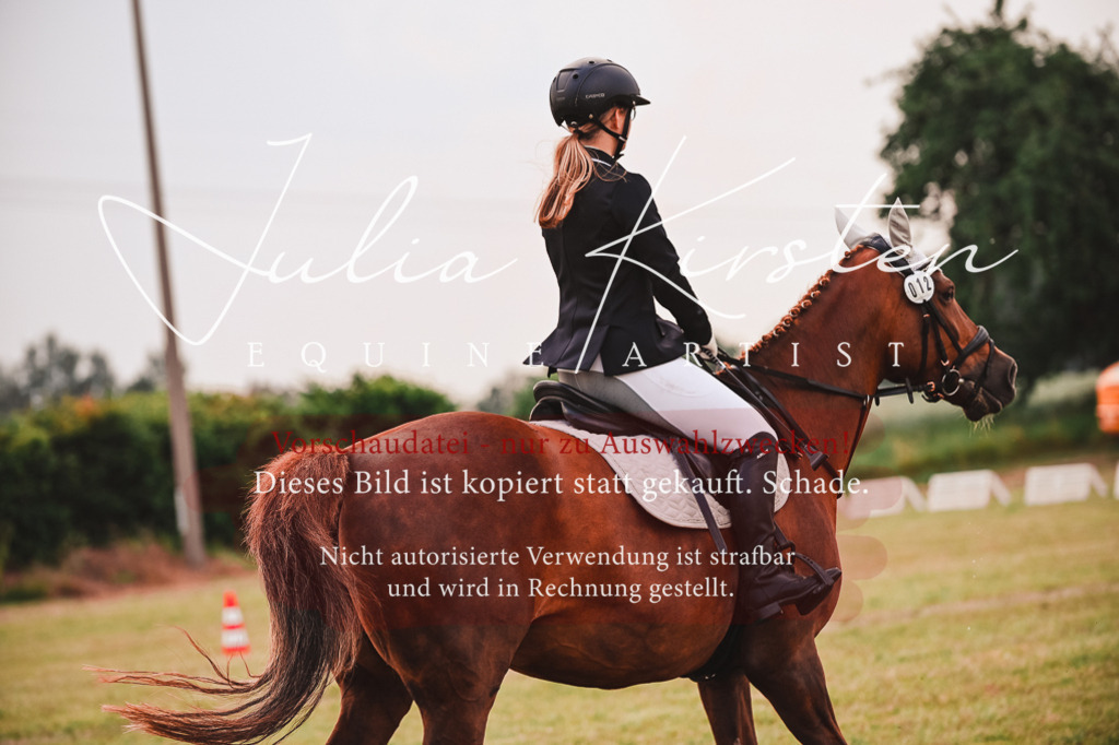 DSC_6848 | Pferde- und Turnierfotografie in Westsachsen. Pferdeportraits, Auftragszeichnungen und intuitive Kunst.