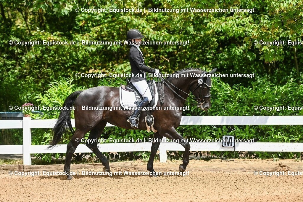 20230716_01_Dressurprüfung Kl.M_0003 | equistock