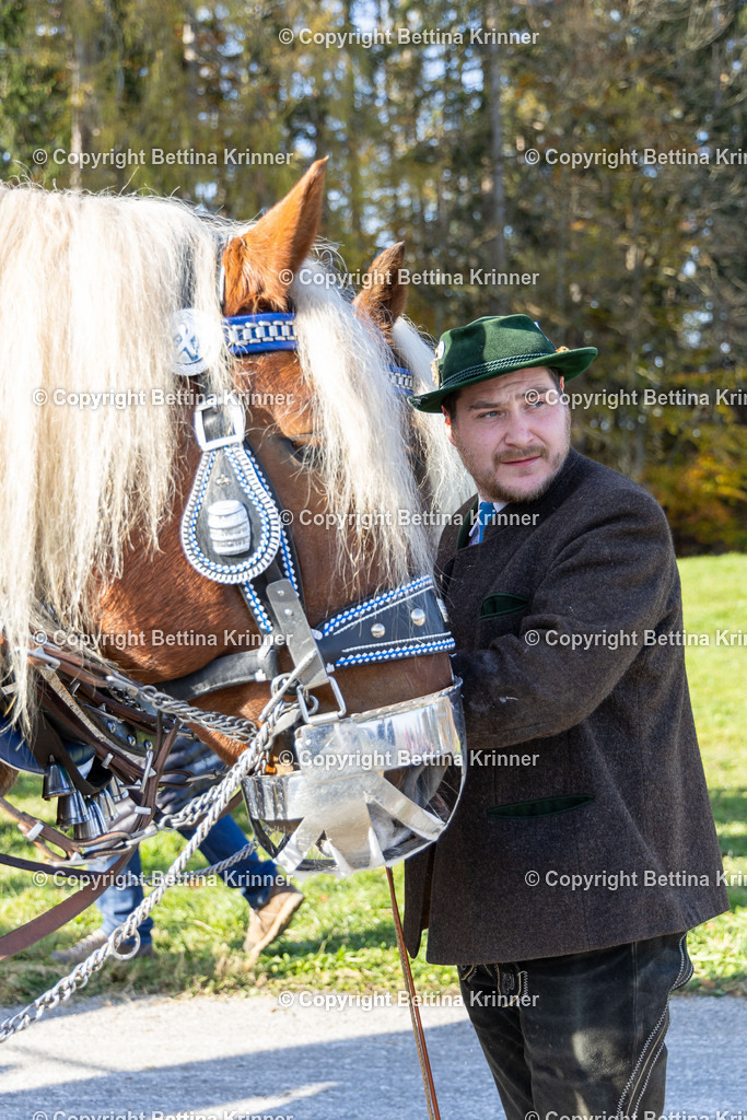 LBT24-1536 | foto-bettina-krinner - Realisiert mit Pictrs.com
