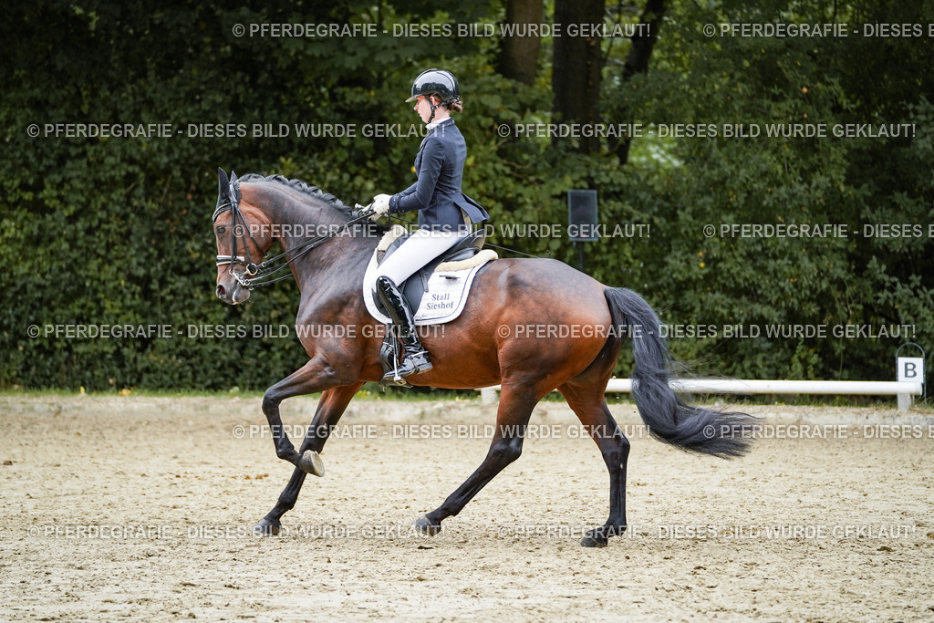 DSC02045 | Pferdegrafie