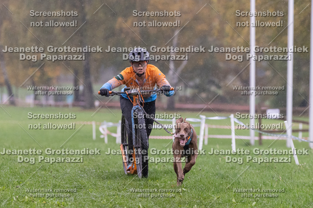 Dog Paparazzi - SD CaniX Championship 2025-891 | Dog Paparazzi Jeanette Grottendiek Fotografie & Videografie - Realisiert mit Pictrs.com